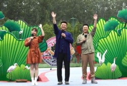 乐山酒店爆料视频最新2020,揭秘酒店行业背后真相