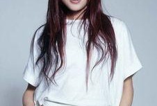 王蓉爆料解析最新视频,揭秘背后惊人真相