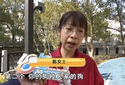 陈女士爱狗人士最新爆料